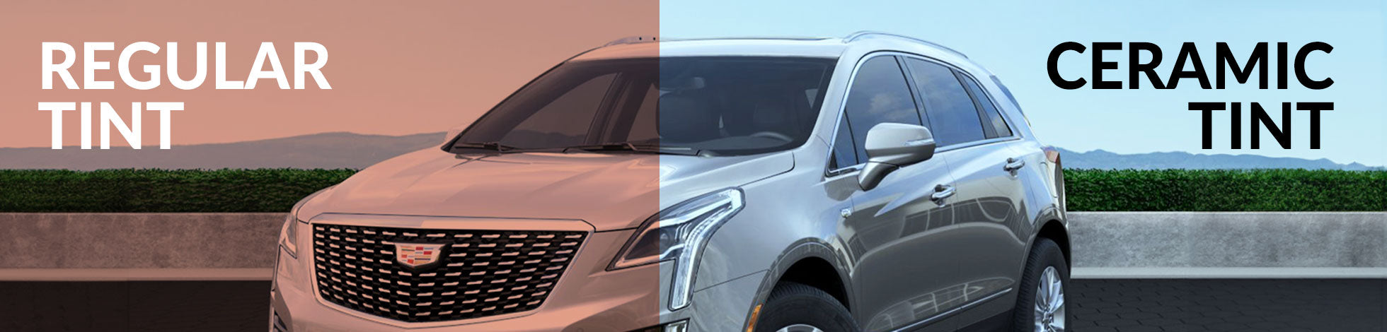Ceramic Tint vs Regular Tint