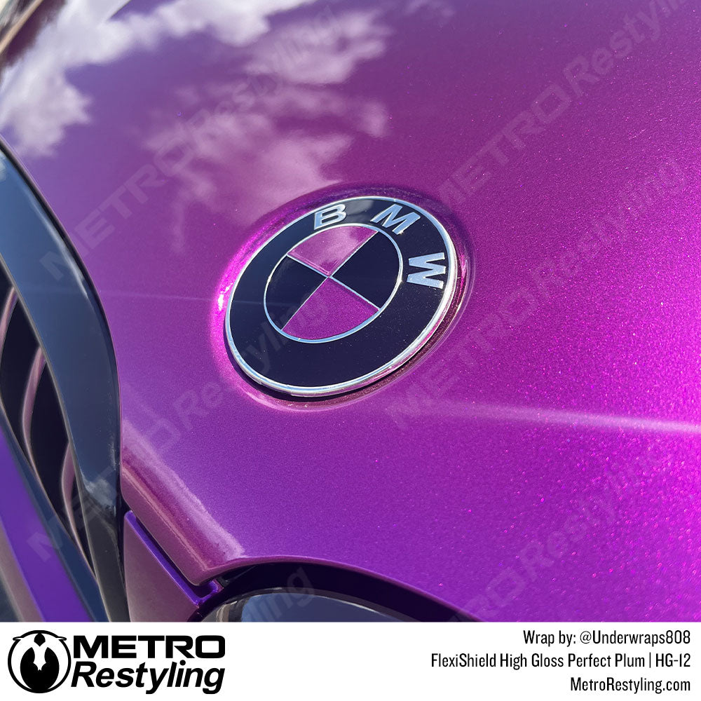 BMW PPF Wrap