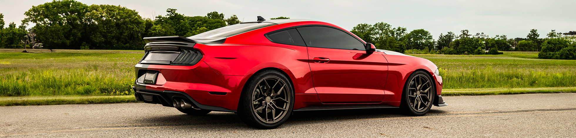 Best Cheap Car Wrap
